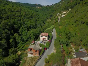 Collina e mare CIR 010007-LT-0175 - Image 4