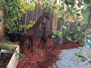 Giraffe House - Chula Vista, Californie - Image 5