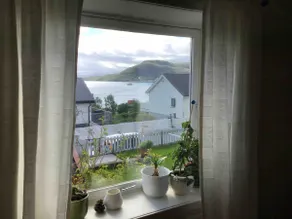 Vågsfjorden's pearl - Image 3