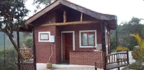 Lion's Corner - Image 4