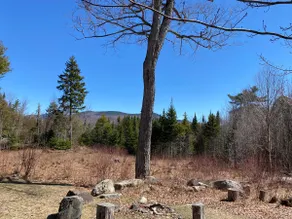 Moose Mountain Lodge - Vacation with Nature - Image 5
