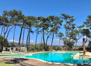 Bungalow B5 Ofir - Image 4