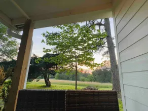 Luxury cottage w/ gorgeous views near Chattanooga! - Image 4