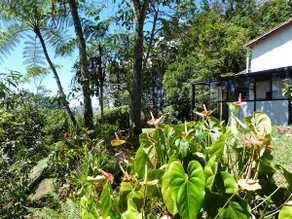 Casa Jade - Image 3