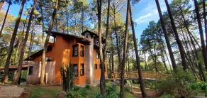 ”Cabaña Villa Fantasía” 10 minutes from the waterfall. - Image 5