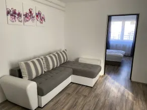 Spacious family home with private garden, playground - Image 5