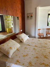 Penthouse and oversight apartment. Ideal for family - Image 5