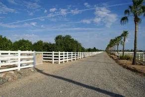 Looking for a unique Ranch Vacation in Surprise” - Image 2