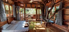 My Nest - Image 3