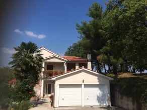 Apartment in the heart of nature - Palm tree - Image 4