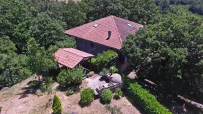 House surrounded by greenery - Image 4