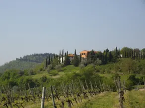 At Granai Farmhouse, Chianti Rufina - Image 4