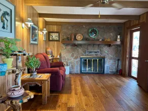 Secluded & Rustic Cabin in the Woods Bluewater LK - Image 5