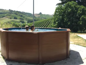 Charmantes Ferienhaus in den Weinbergen des Monferrato - Image 5