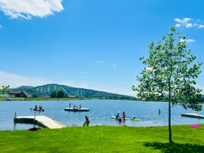 Tranquil, Stylish Elk Mountain Home with Lake Access - Image 2