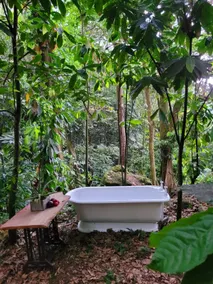 Ecoscape: Private River Eco Cottage Near Ocho Rios - Image 5