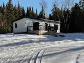 White Cedar - Image 4