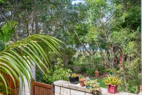 Secluded , absolute beachfront Studio. Pet ok . - Image 5
