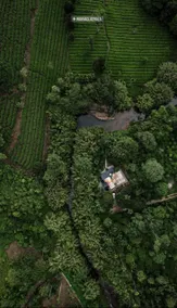 WildBeats StreamStays - Wayanad- Forest Ambience - Image 4