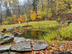 Private Grafton Retreat With Pond - Image 3