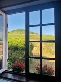 Charming house on the wine route - Image 5
