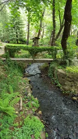 Creekside Paradise. Luxury & comfort on private forest/ parklike grounds - Image 4