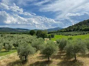 ”La Campagnola” and experience your vacation in freedom - Image 5