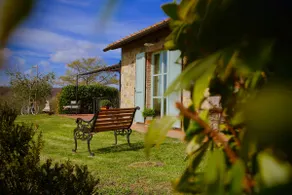 La Casina della Quercia, Your Tuscan Oak Tree House - Image 3