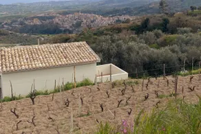 Dependance in winery house with pool - Image 2