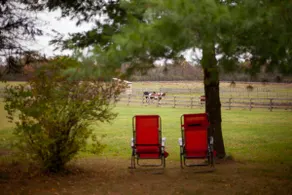 Horse Ranch with Hot tub - Image 5