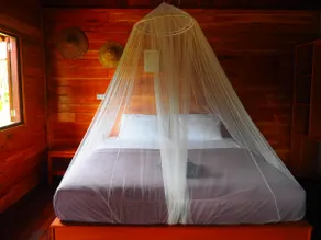 Sonya Jungle (Villa) - Image 4