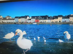 Superb Location! Walk Everywhere! Wi-Fi - Image 2