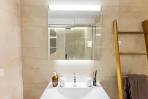Luxury penthouse lion monument - Image 5