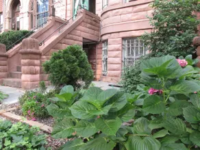 Brownstone 3rd Foor - Image 3
