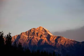 Vintage The Lavish Stay(MUSSOORIE)Petfriendly - Image 4