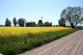 The bed on the meadow - Image 2