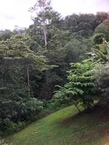 The Country Snug - Noosa Hinterland - Image 4