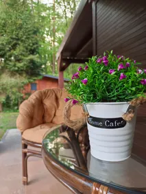 Slow stay forest cottage Domasa SVK - Image 5