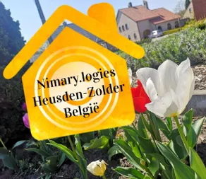 Nimary Logies - Image 2