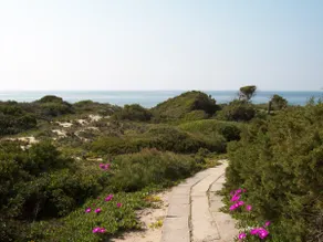 Sardinia, closer to the heaven - Image 3