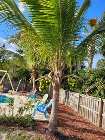 Romance Beach Resort brings the beach to you! - Image 2