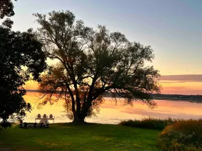 Entire home on private 7 acres stunning lakefront - Image 4