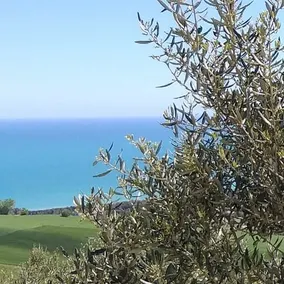 Country house with sea view - Image 3