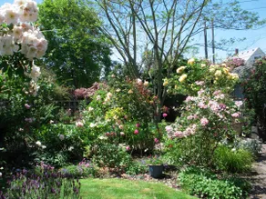 Delightful Garden Suite Near Airport & Downtown - Image 5