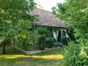 Creative House - Shelter - Image 4