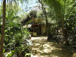 Charmin jungle cabin, private cenote - Image 5