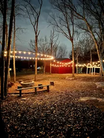 Big and Cozy Cabin Near Nashville, on 4 acres with King Bed & Pool - Image 2