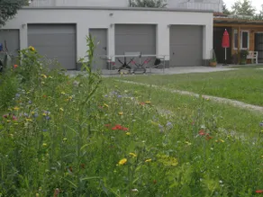 ”Tulip” apartment with balcony - Image 3