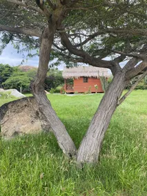 Peaceful and romantic guesthouse set in nature. - Image 5