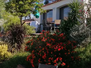 Les Mimosas 3 Hotel Villas - Image 2
